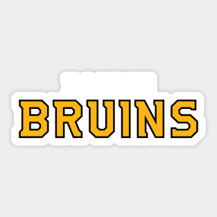 Boston-City Sticker